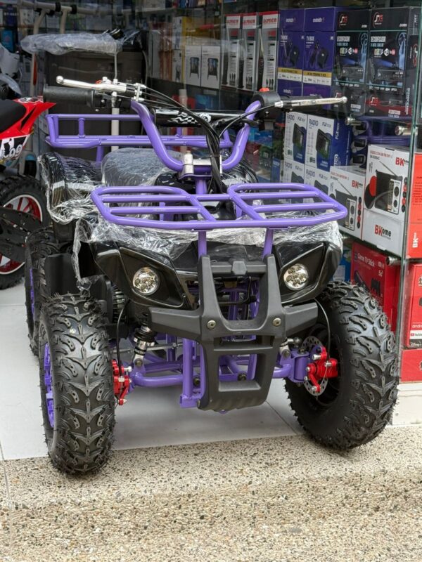CUATRIMOTO TIPO GRISLY 60CC (ENCENDIDO ELECTRÓNICO)