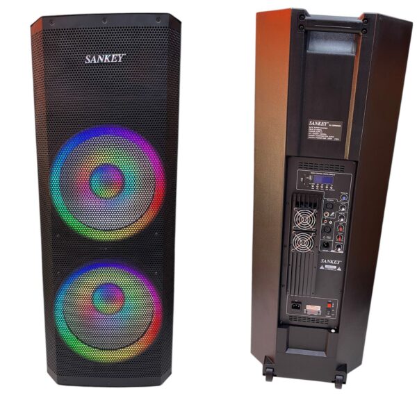 Parlante Sankey 2x15” PA15PRO523 RGB