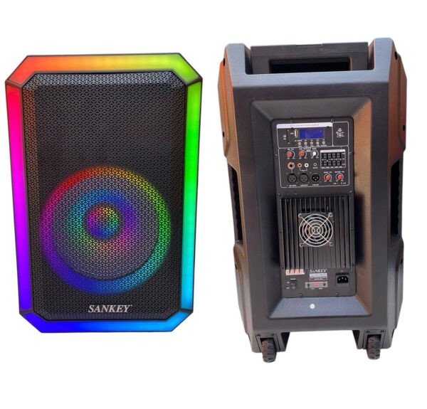 Parlante Sankey 15” PA15129STM RGB