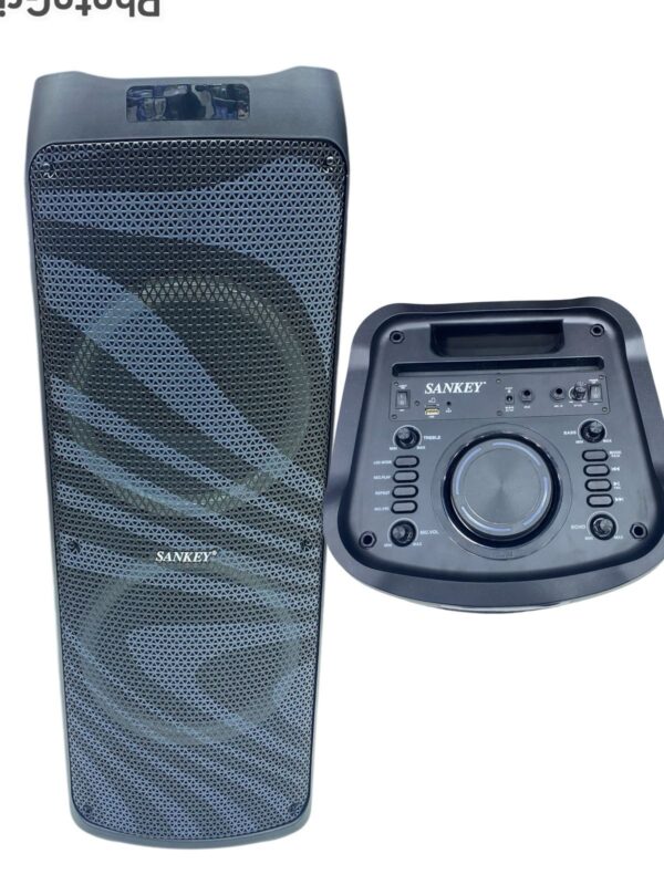 Parlante Sankey 12x2” PA12DC3099 RGB