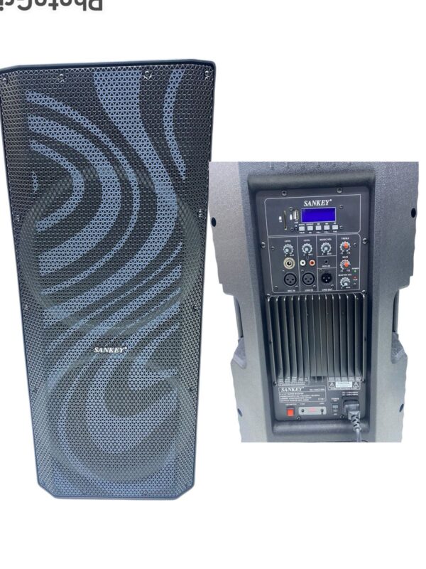 Parlante Sankey 15x2” PA-15AC3299 RGB