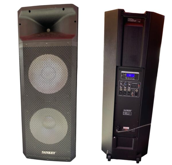 Parlante Sankey 2x15” PA153188M