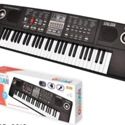PIANO ELECTRONICO 54 TECLAS / MICROPHONE / AUDIO CABLE / USB